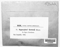 Hypoxylon berterii image